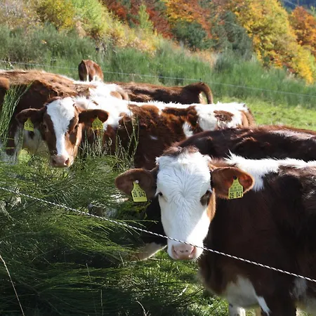 Grundhof 2 Appartement