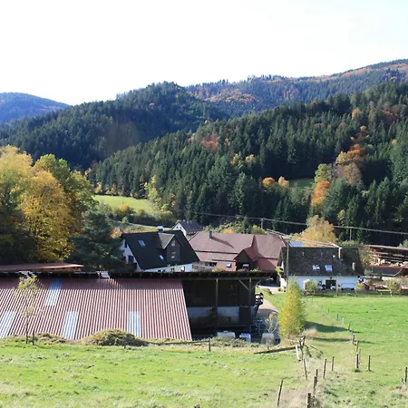 Appartement Grundhof 2 *