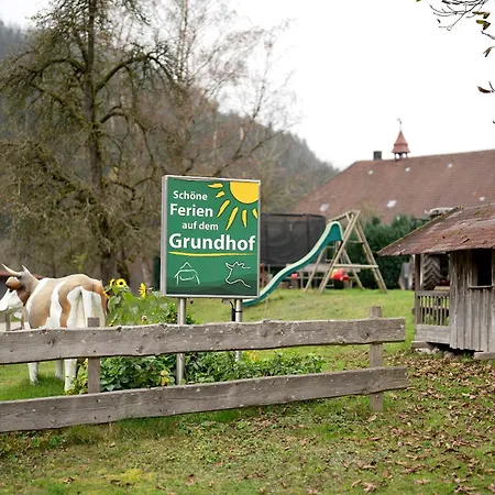 Appartement Grundhof 2 *