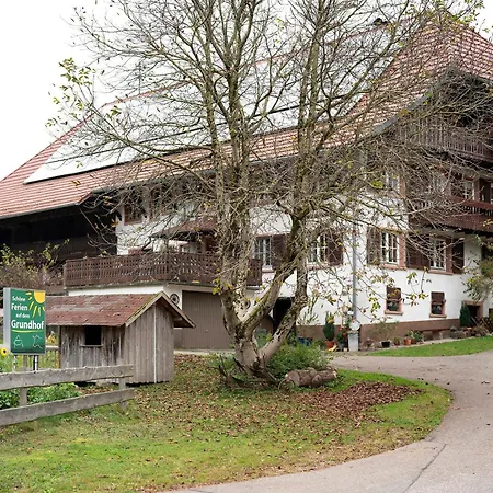 Grundhof 2 Appartement Elzach