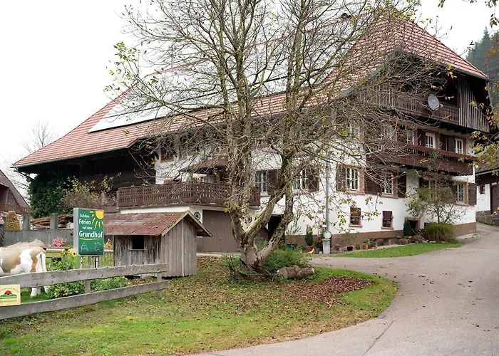 Grundhof 2 公寓 埃尔察赫